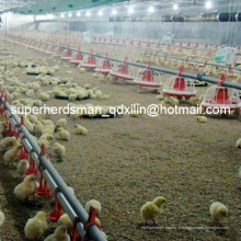 Système automatique d&#39;alimentation de volaille et de mamelon pour le poulet de chair